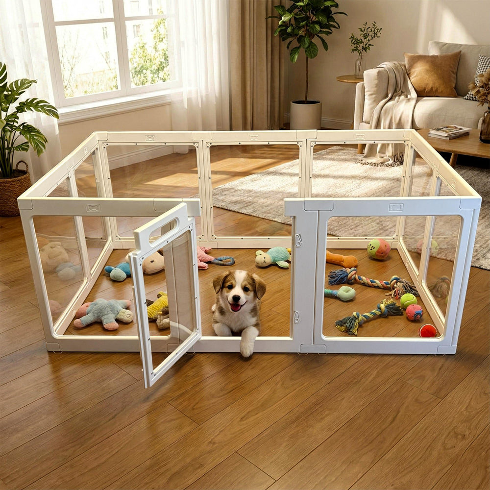 SENTORYY transparent indoor dog playpen assembly shows easy setup for small pets