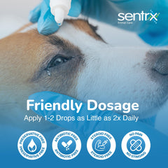 Sentrx Eye Lube Pro application for feline eye comfort.