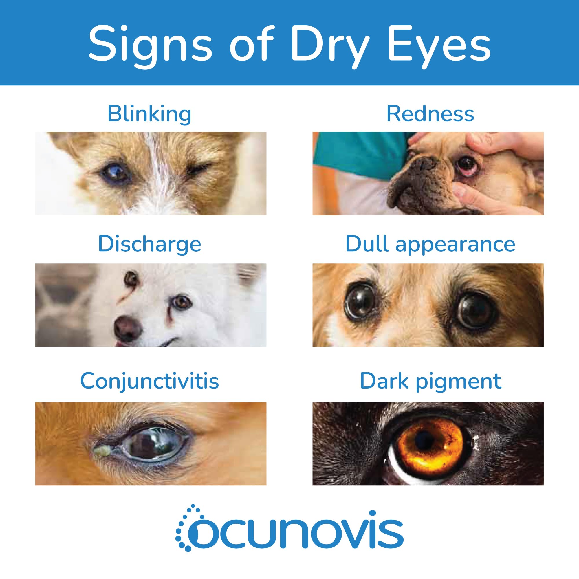 Sentrx Ocunovis provides hydration with every blink for improved comfort.