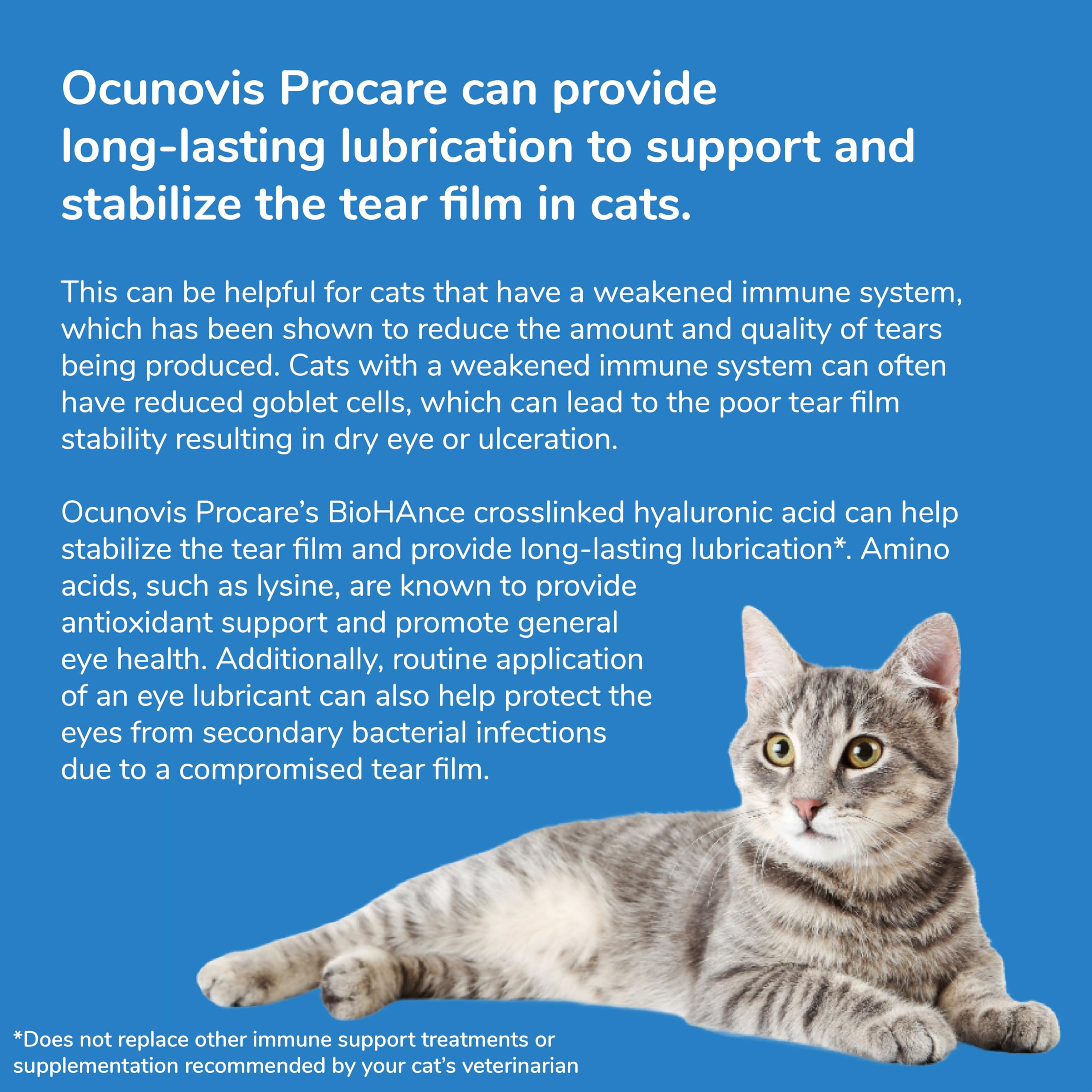 Packaging box highlighting preservative-free formula for dogs and cats.