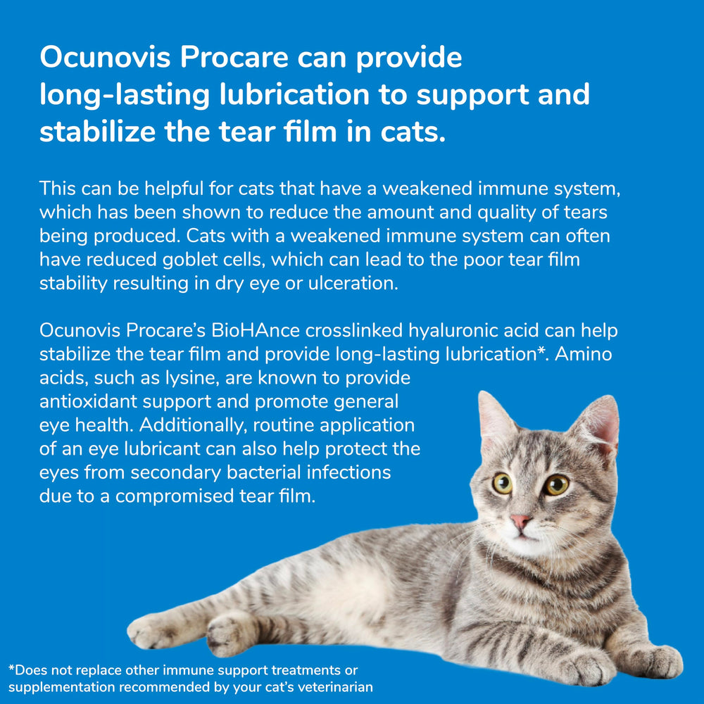 Packaging box highlighting preservative-free formula for dogs and cats.