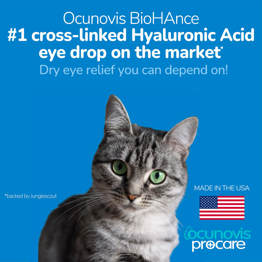 Pet eye close-up with soothing hydration from eye drops.