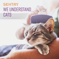 Closeup of Sentry calming collar buckle demonstrates secure fit for cats.