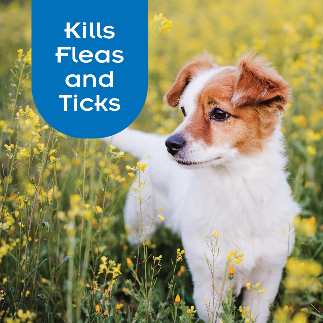 Sentry Pro flea & tick shampoo lather ready to clean a dog's coat