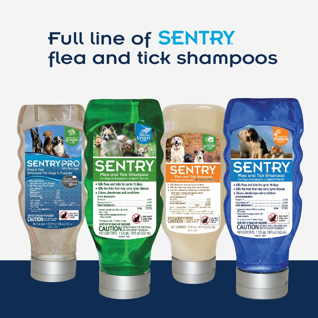 Sentry Pro bottle showcases green tea and ginger scent for refreshing baths