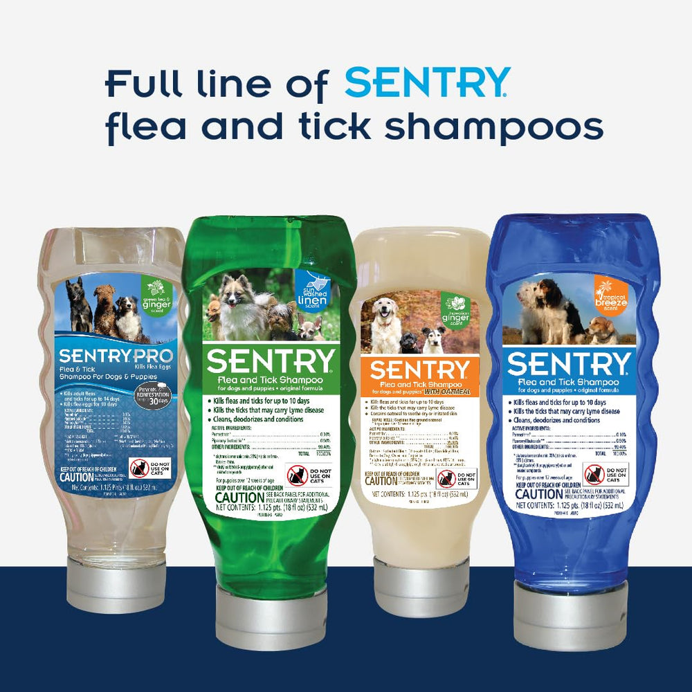 Sentry Pro bottle showcases green tea and ginger scent for refreshing baths