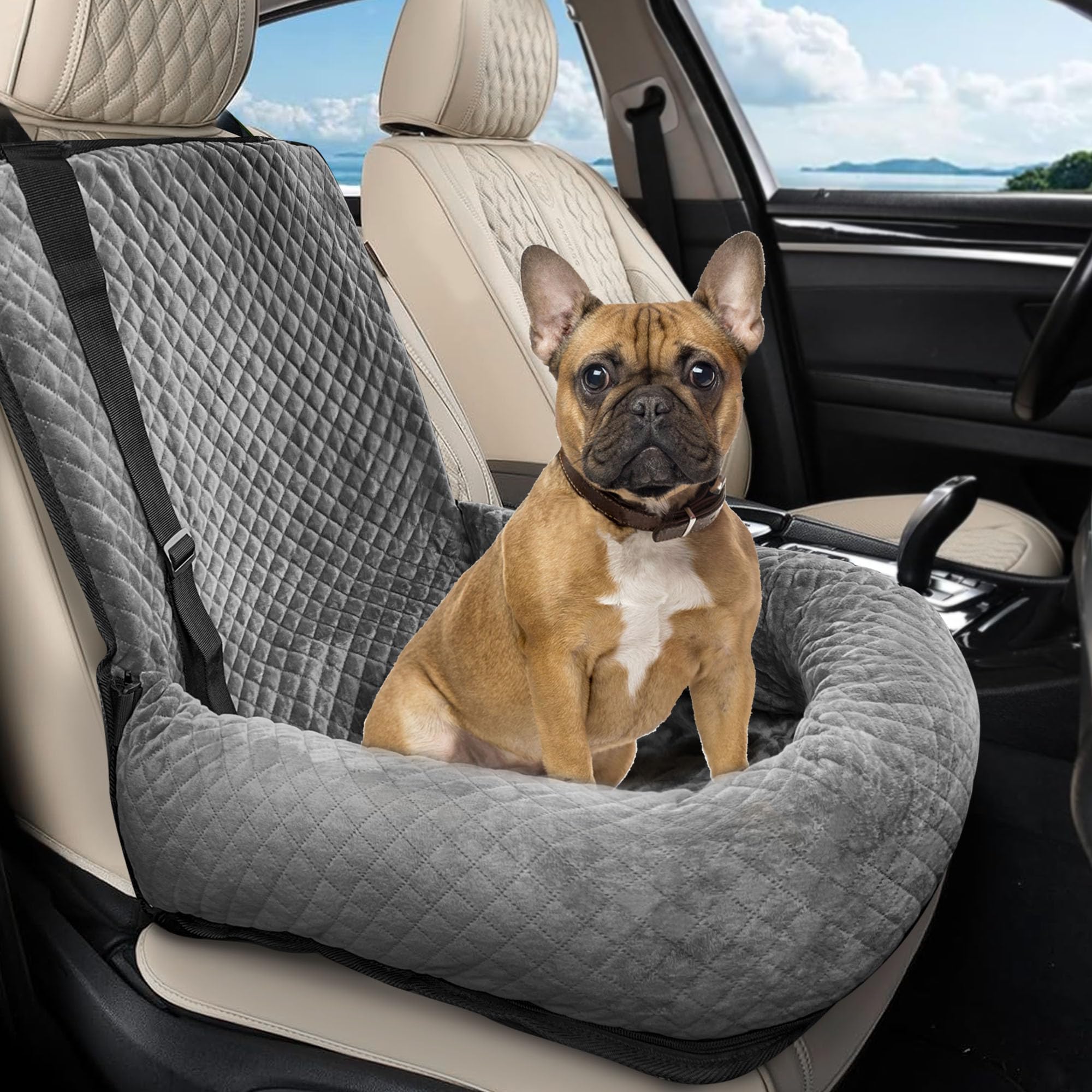 Sephyroth dog car seat showcased for universal fit across car types