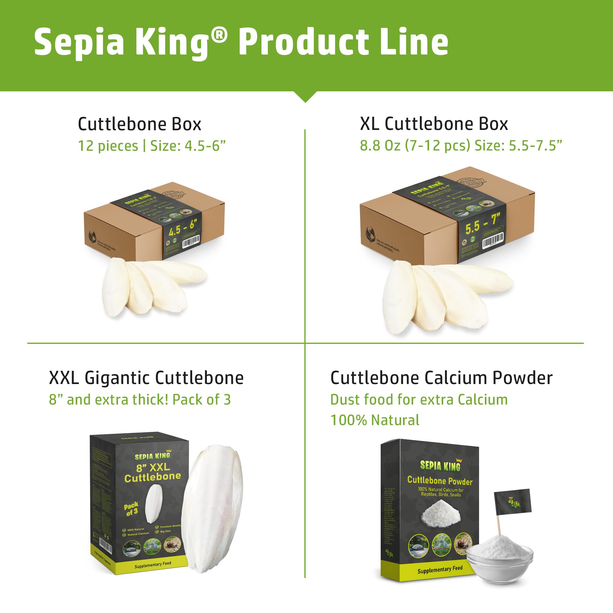 Sepia King bearded dragon calcium treat supports daily calcium intake.