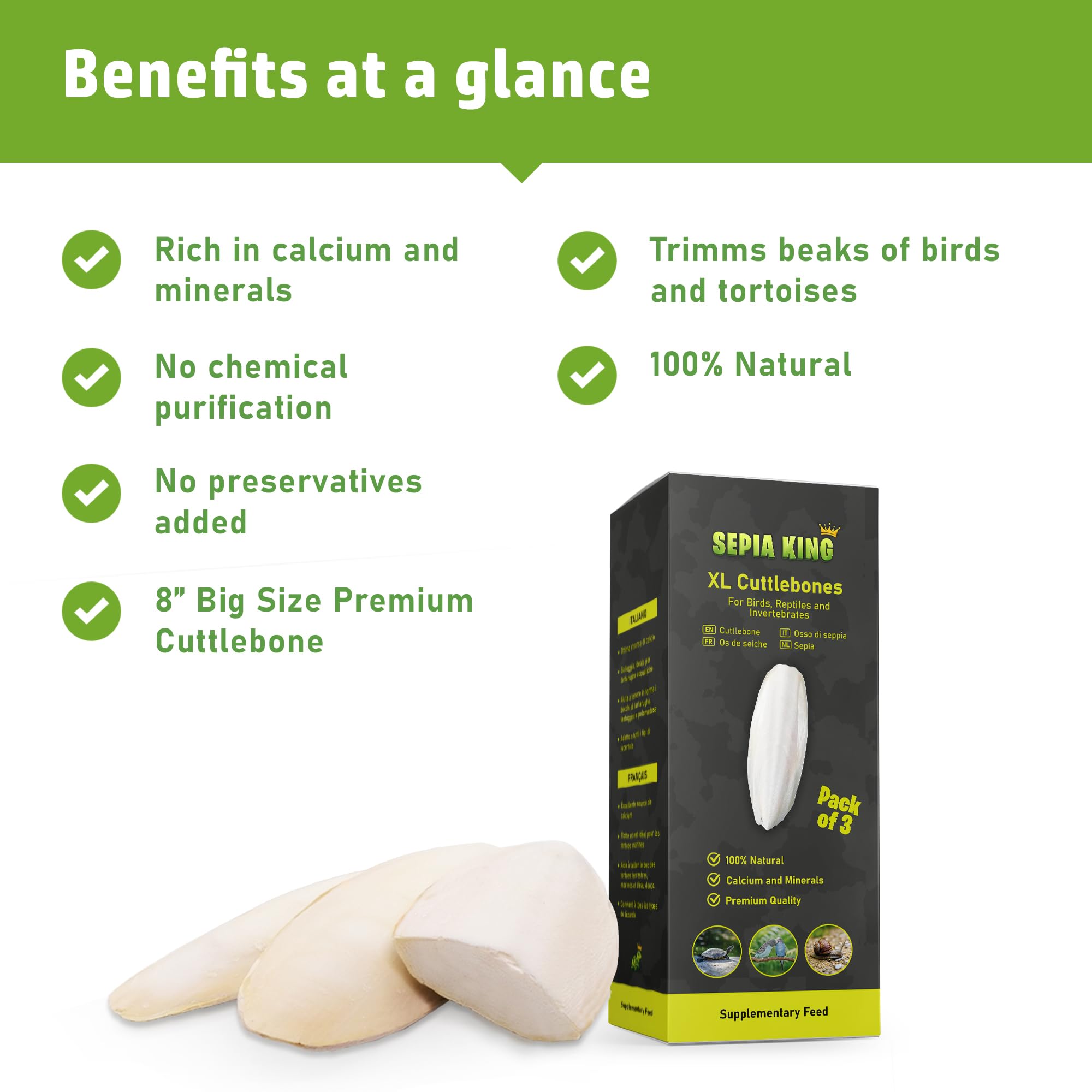 Sepia King bird beak trimming cuttlebone aiding natural wear and calcium intake