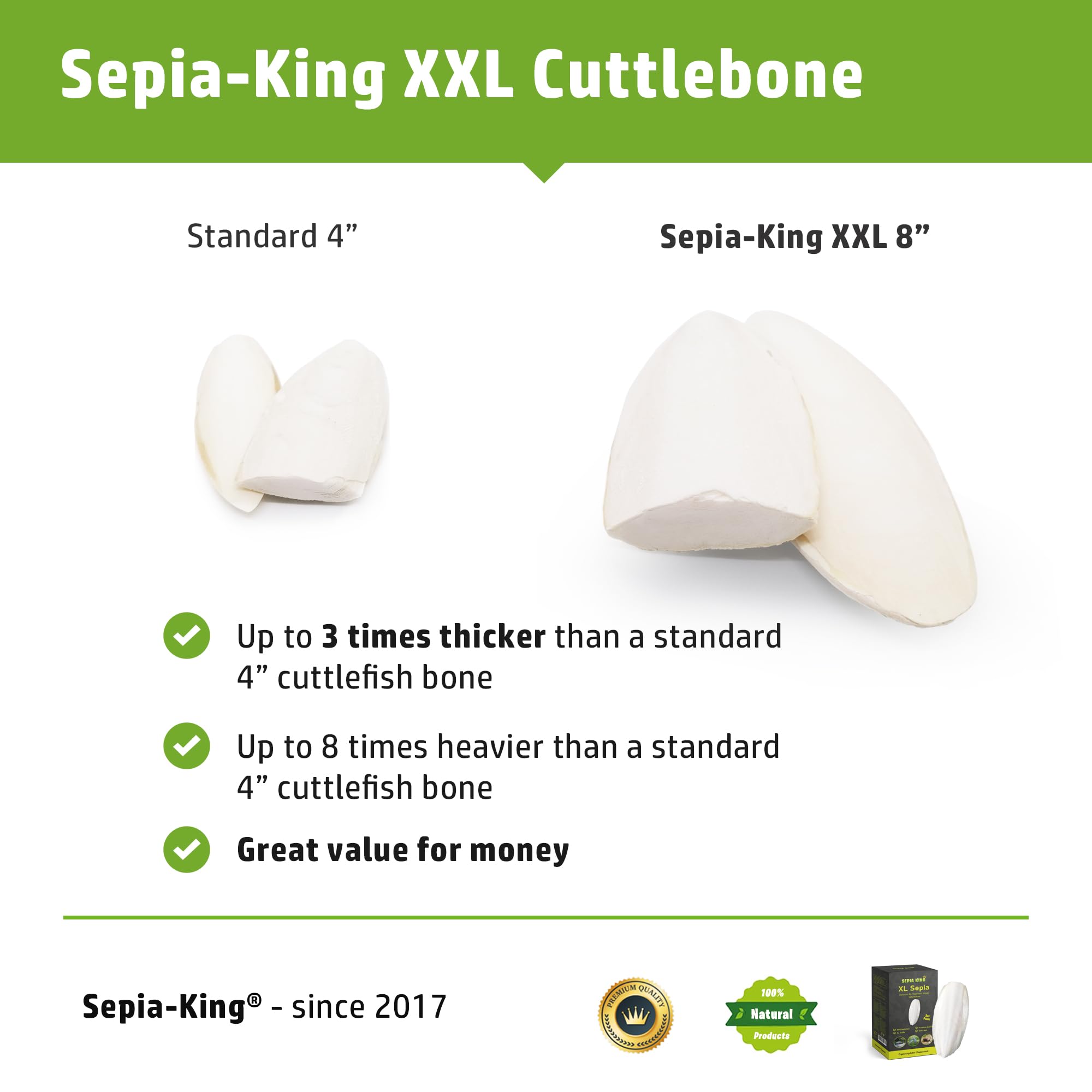 Sepia King cuttlebone cage attachment ready for bird access and mineral intake
