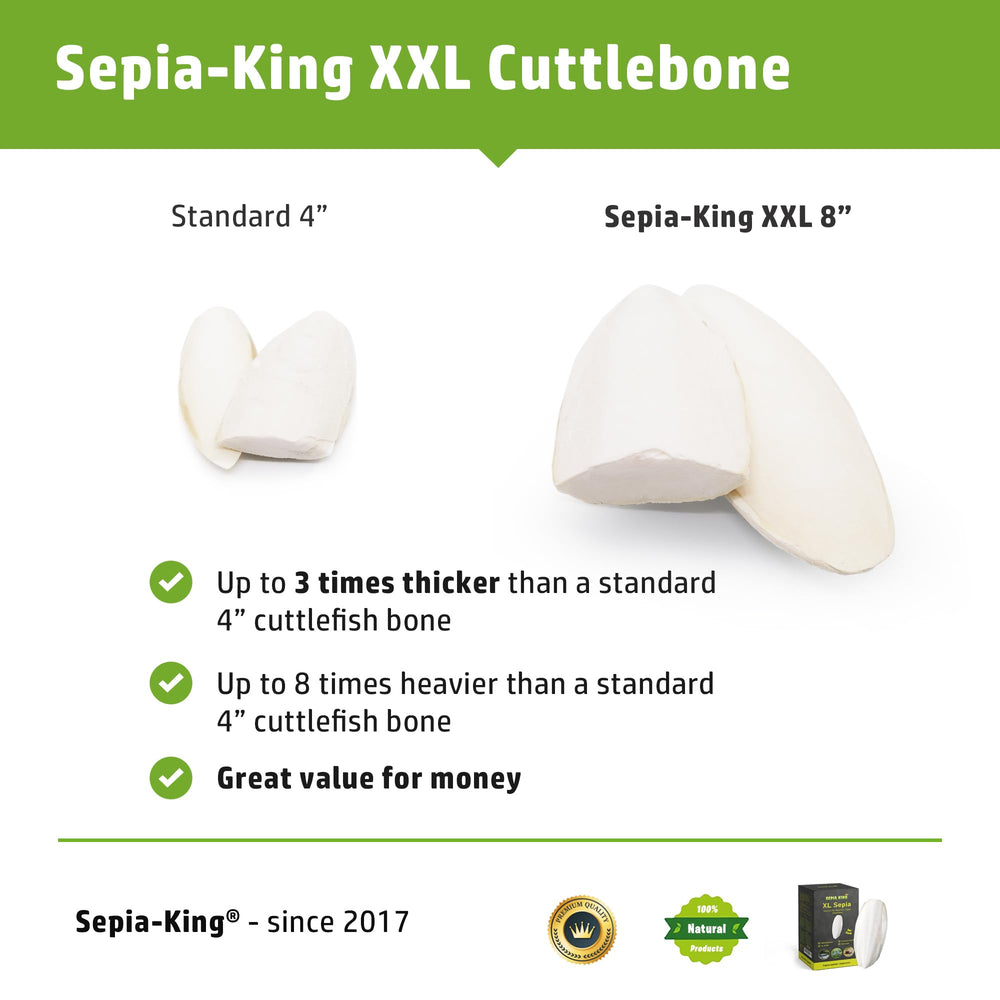 Sepia King cuttlebone cage attachment ready for bird access and mineral intake