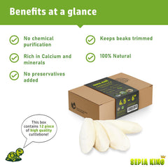 Sepia King snail cuttlebone provides calcium for snails.
