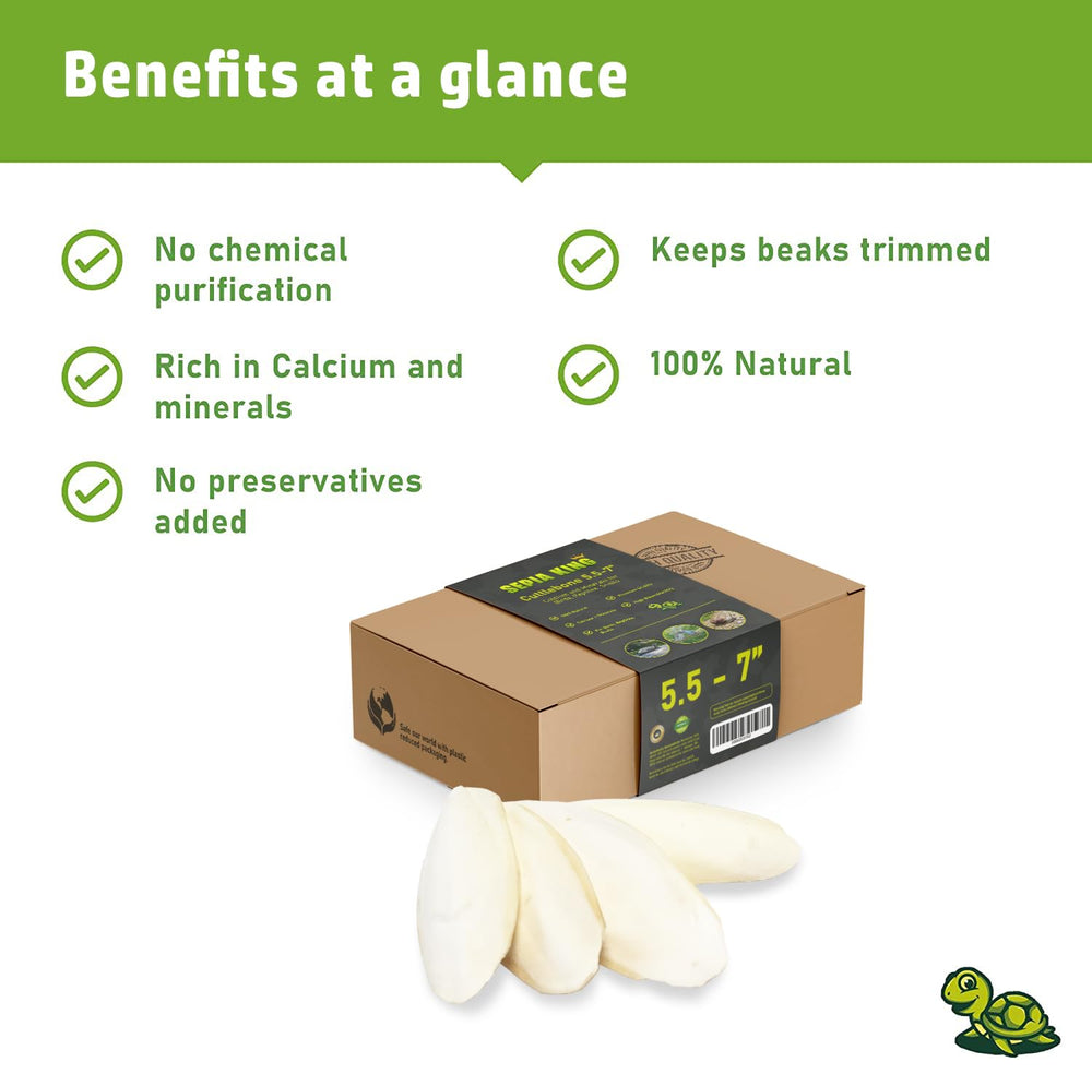 Sepia King cuttlebone highlights first quality natural calcium