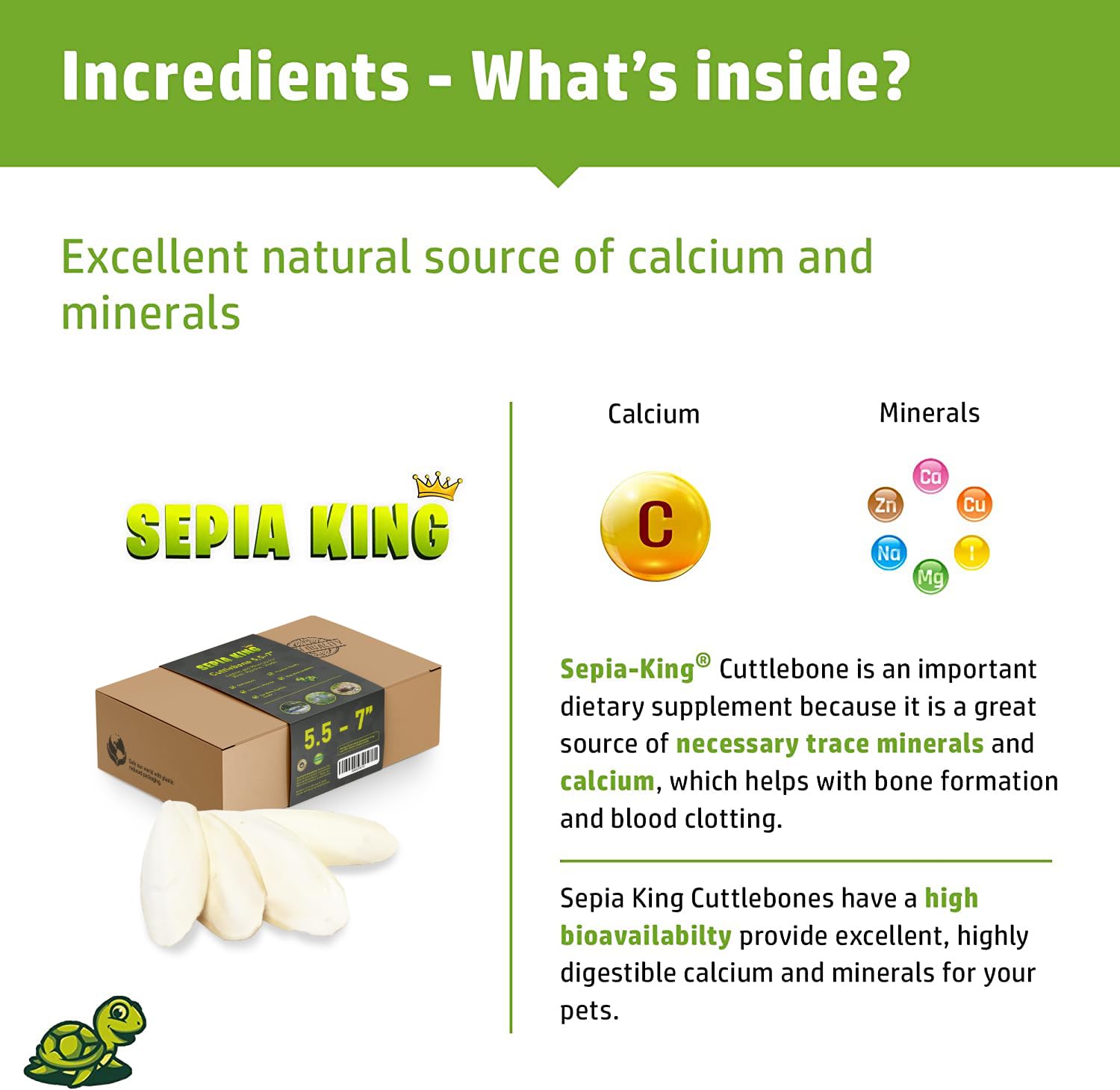 Sepia King cuttlebone supports tortoise shell health in enclosures