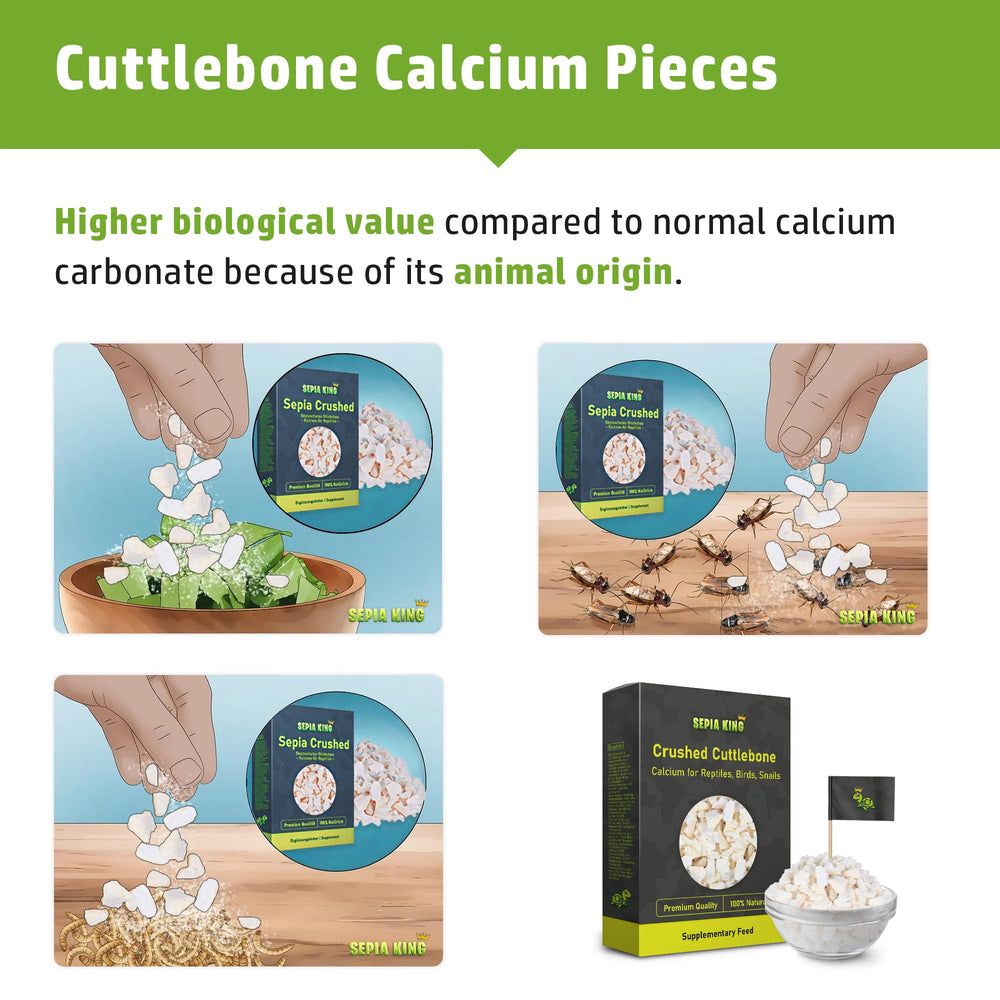 Sepia King natural cuttlebone pieces offer a pure calcium boost for pets.