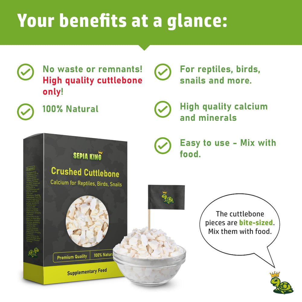 Sepia King snail calcium supplement strengthens snail shells naturally.