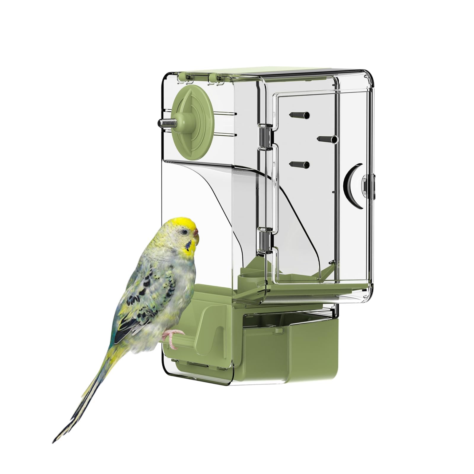 Septillar automatic feeder front view with perch, mess-free feeding for small birds.