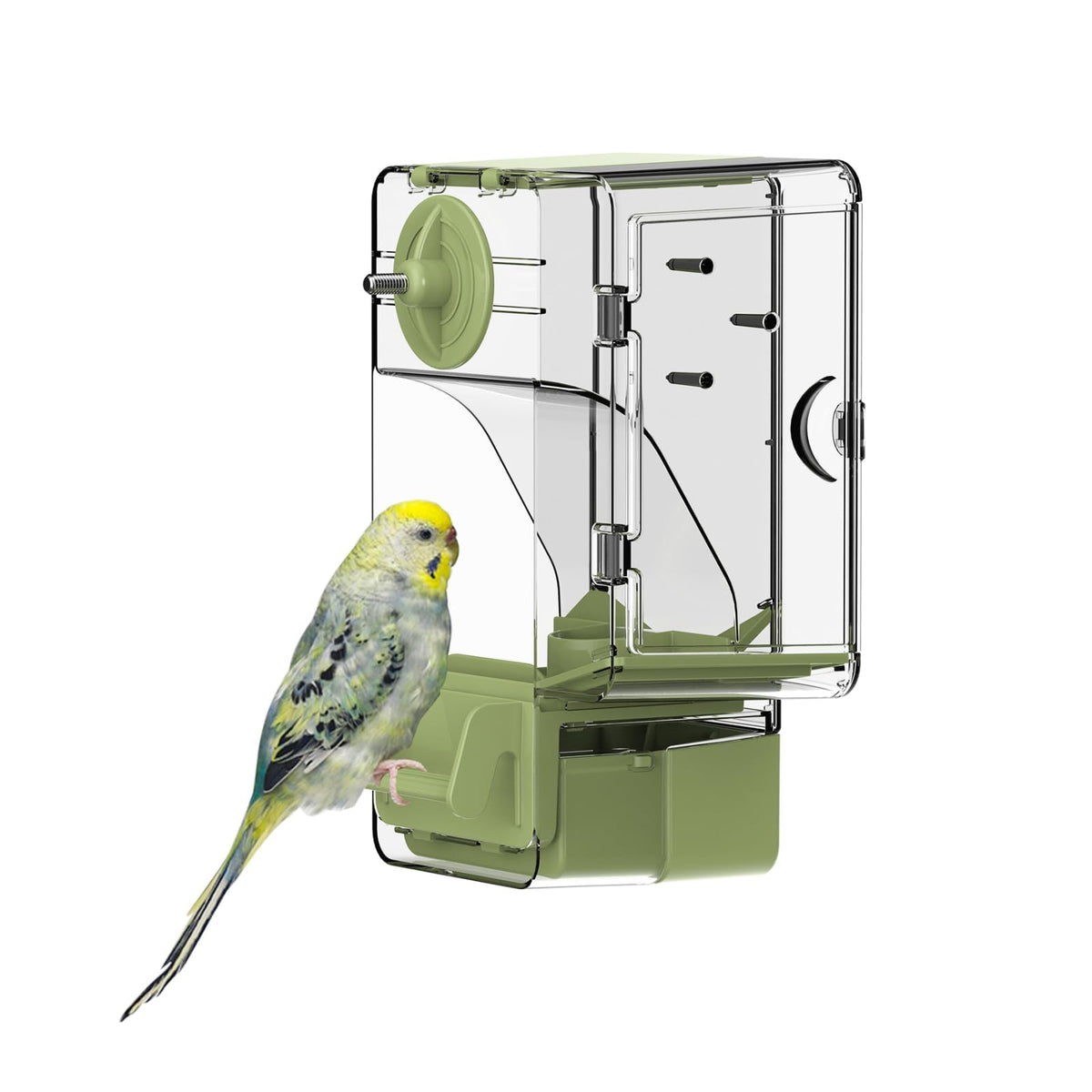 Septillar automatic feeder front view with perch, mess-free feeding for small birds.