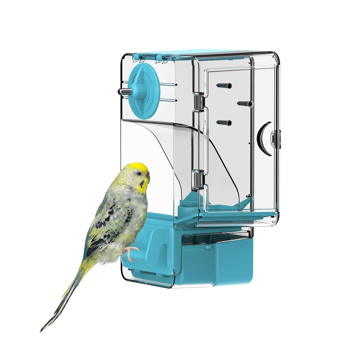 Septillar automatic feeder front view demonstrates a clean, low-maintenance feeding solution for small birds.