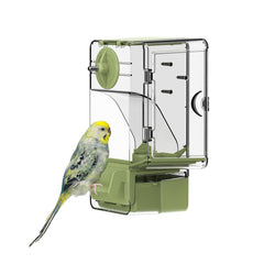 Septillar automatic feeder front view with perch, mess-free feeding for small birds.