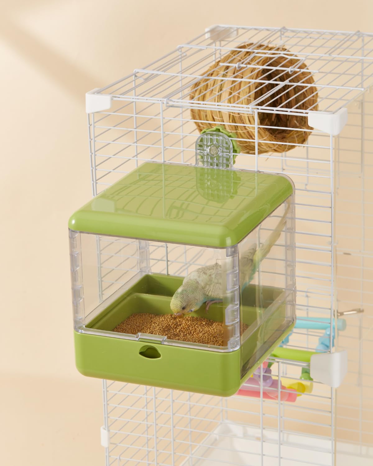 Septillar bath-for-small-medium-birds suits lovebirds, finches, budgies, and cockatiels.