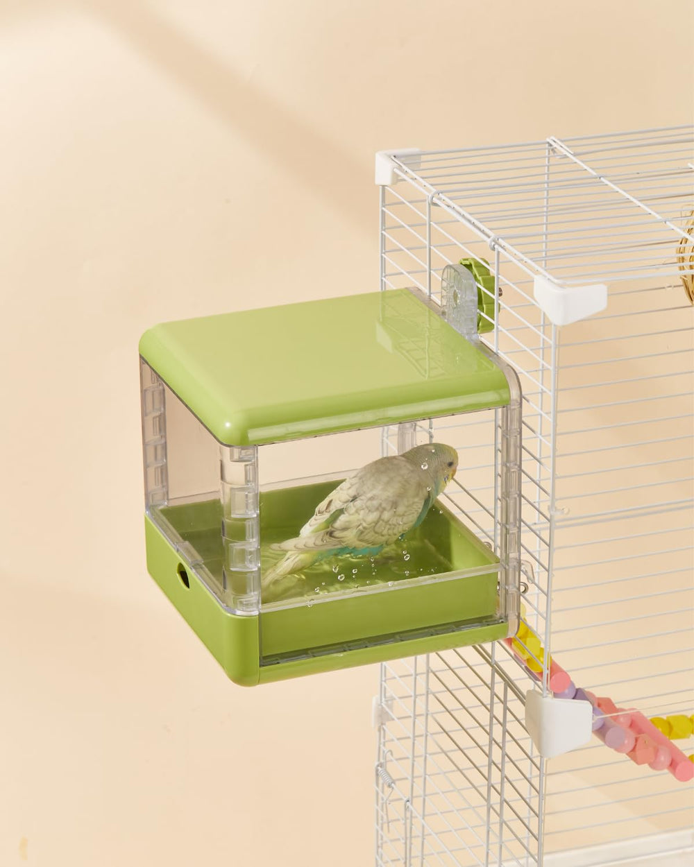 Septillar bird feeder bath green usage-lovebirds, finches and small parrots.