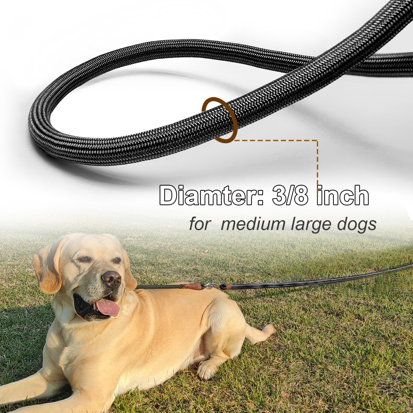 SEPXUFORE 65 ft tie-out rope provides expansive outdoor exploration space.