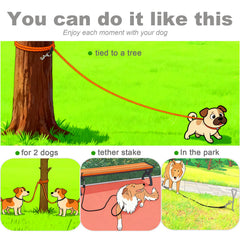 SEPXUFORE rope leash at the beach for outdoor play and control