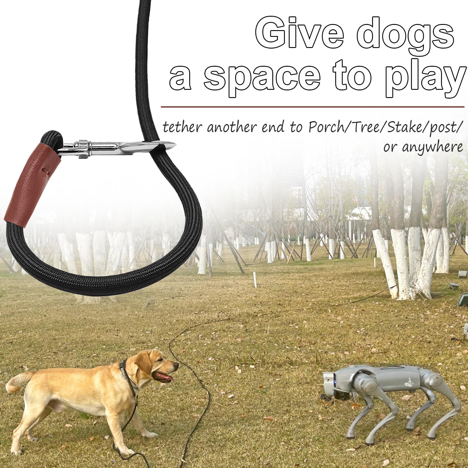 SEPXUFORE lightweight nylon tie-out with soft feel for dogs