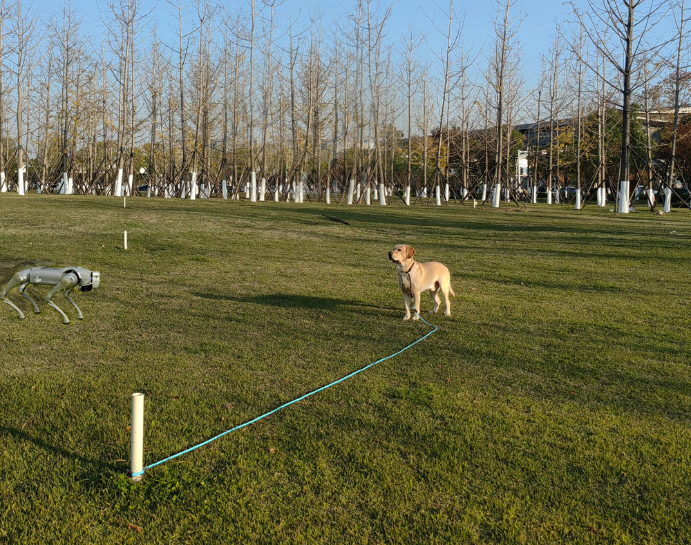SEPXUFORE durable rope leash ready for camping trips