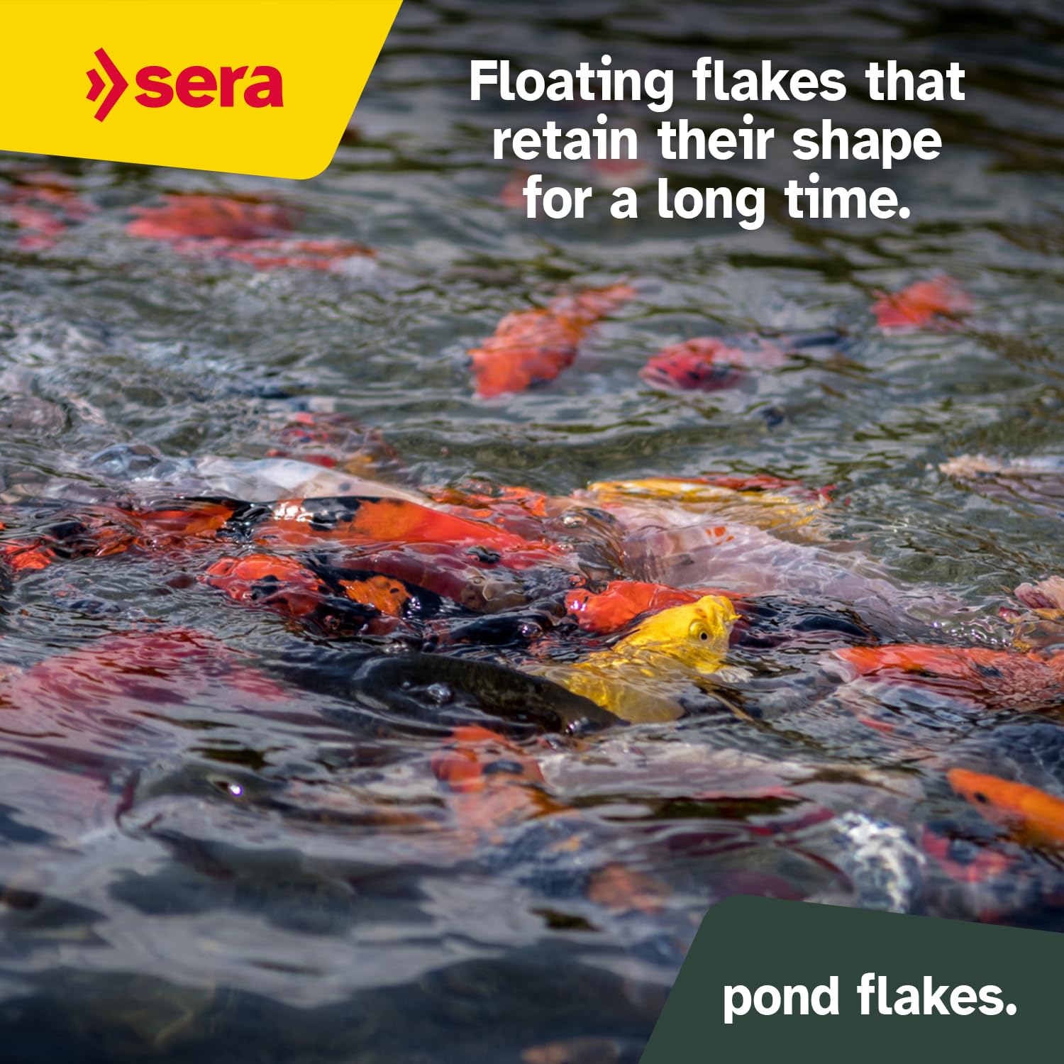 Sera Pond Flakes vitamins and minerals support overall vitality.