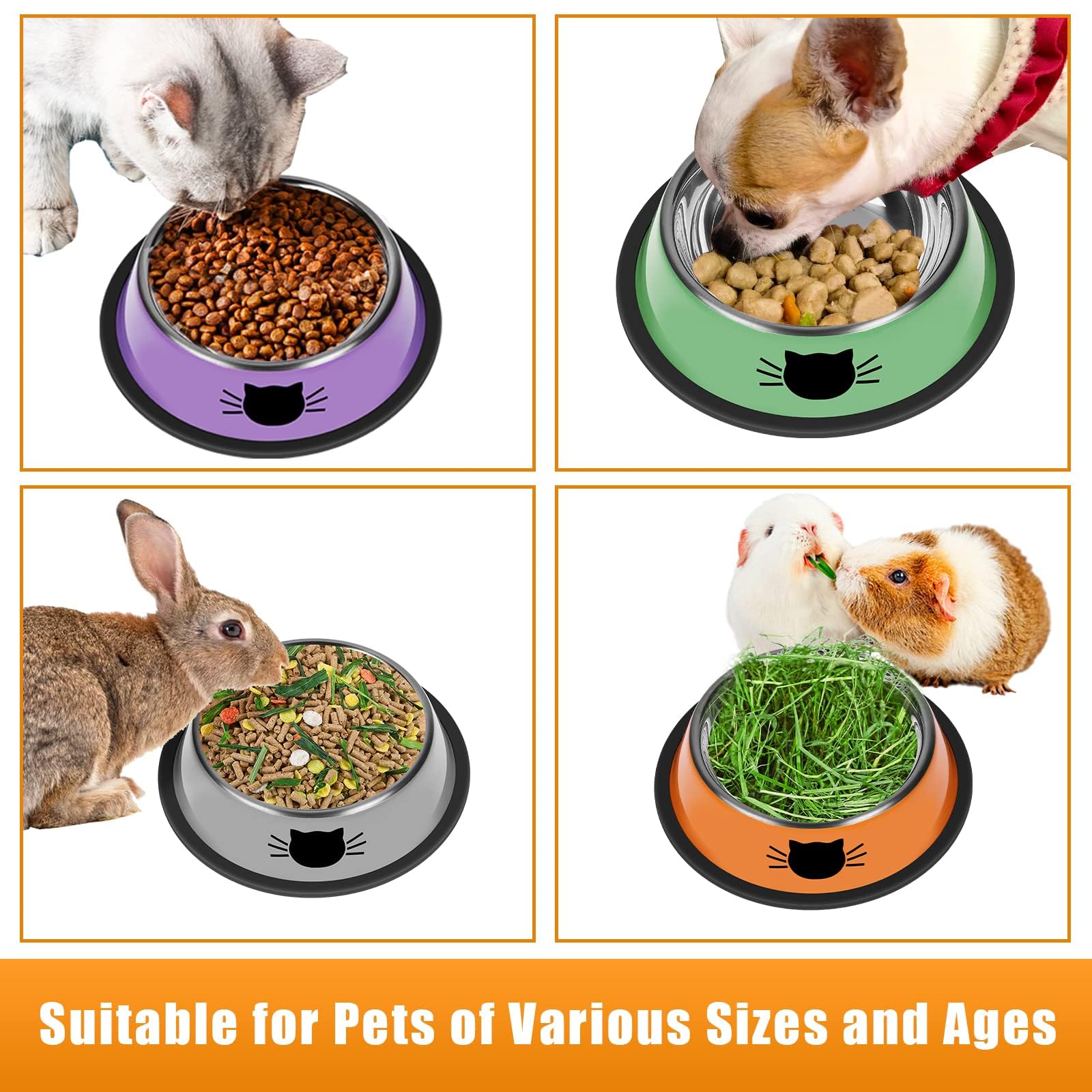 Serentive colorful design enhances home decor and pet appetite.