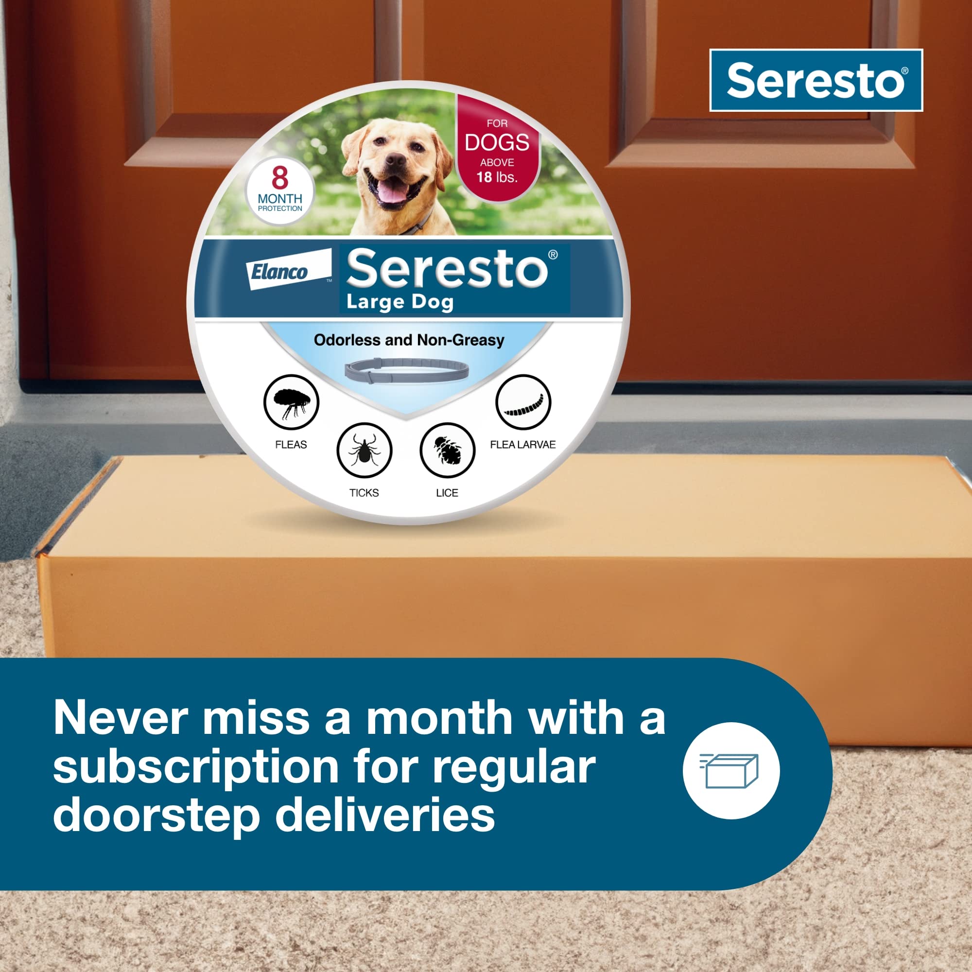 Graphic showing 8 months of protection with Seresto.
