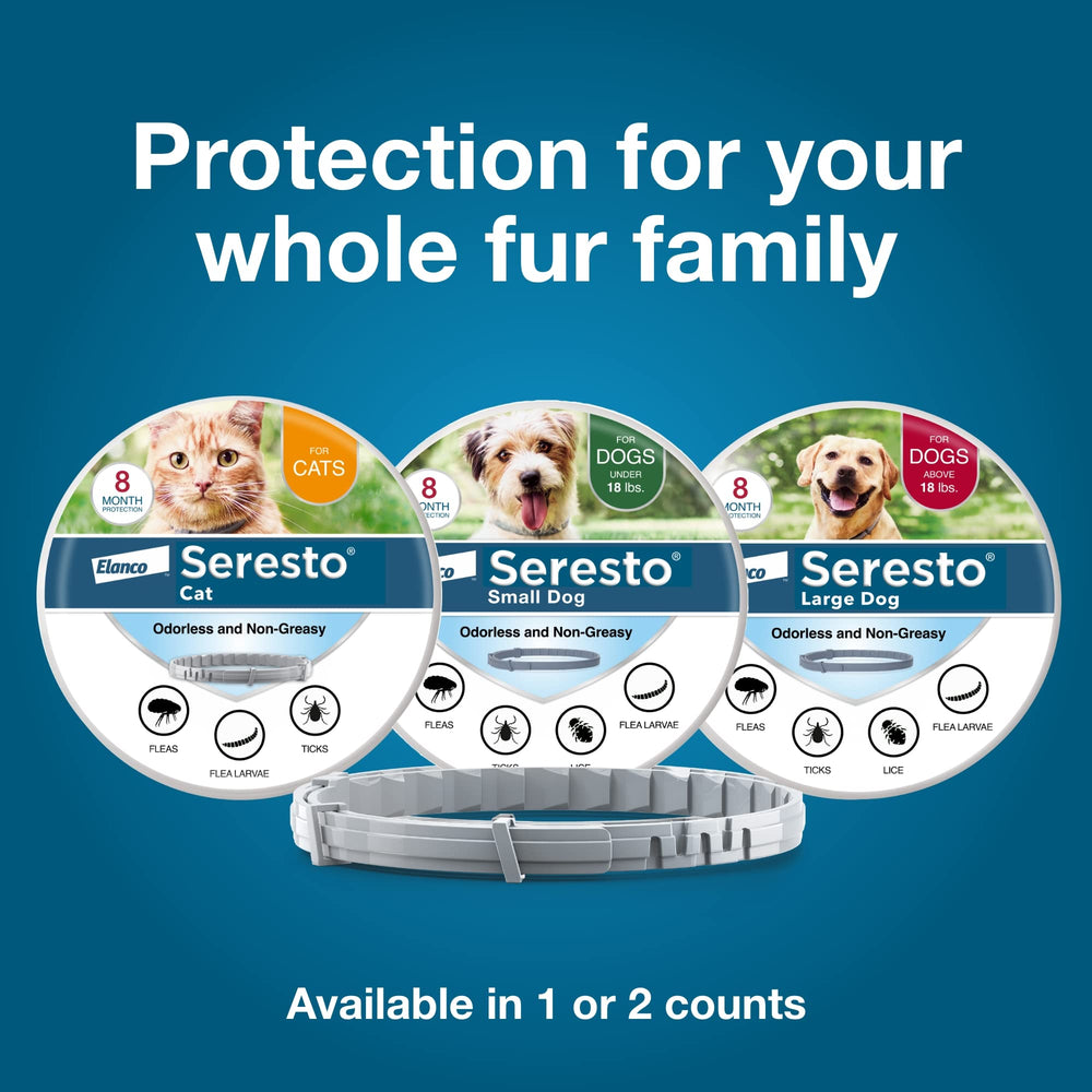 Easy-to-use Seresto collar being placed on a cat for quick protection