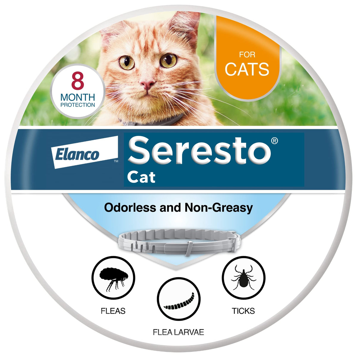 Seresto Cat collar kills and repels fleas for eight months.