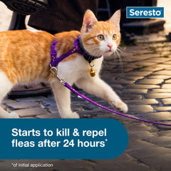 Seresto collar kills ticks within hours, reducing tick exposure for cats
