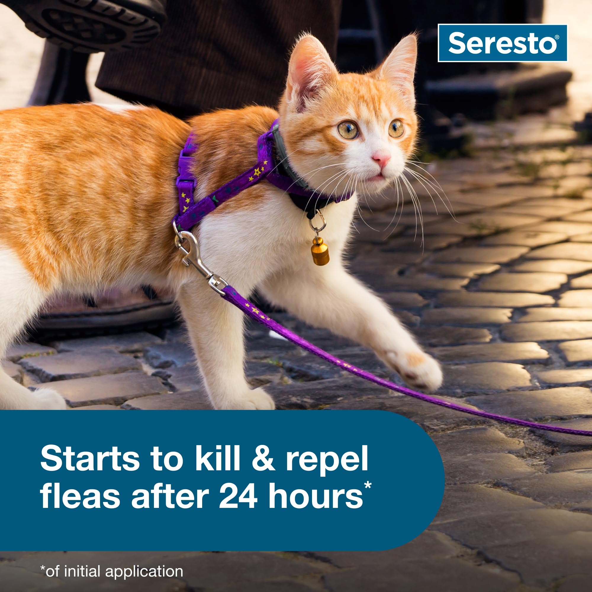 Seresto Cat collar stops ticks within six hours.