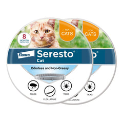 Seresto cat collar worn by a cat for long-lasting protection against fleas and ticks