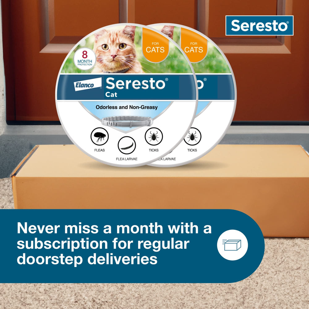 Two-pack Seresto collars shown in packaging for cats