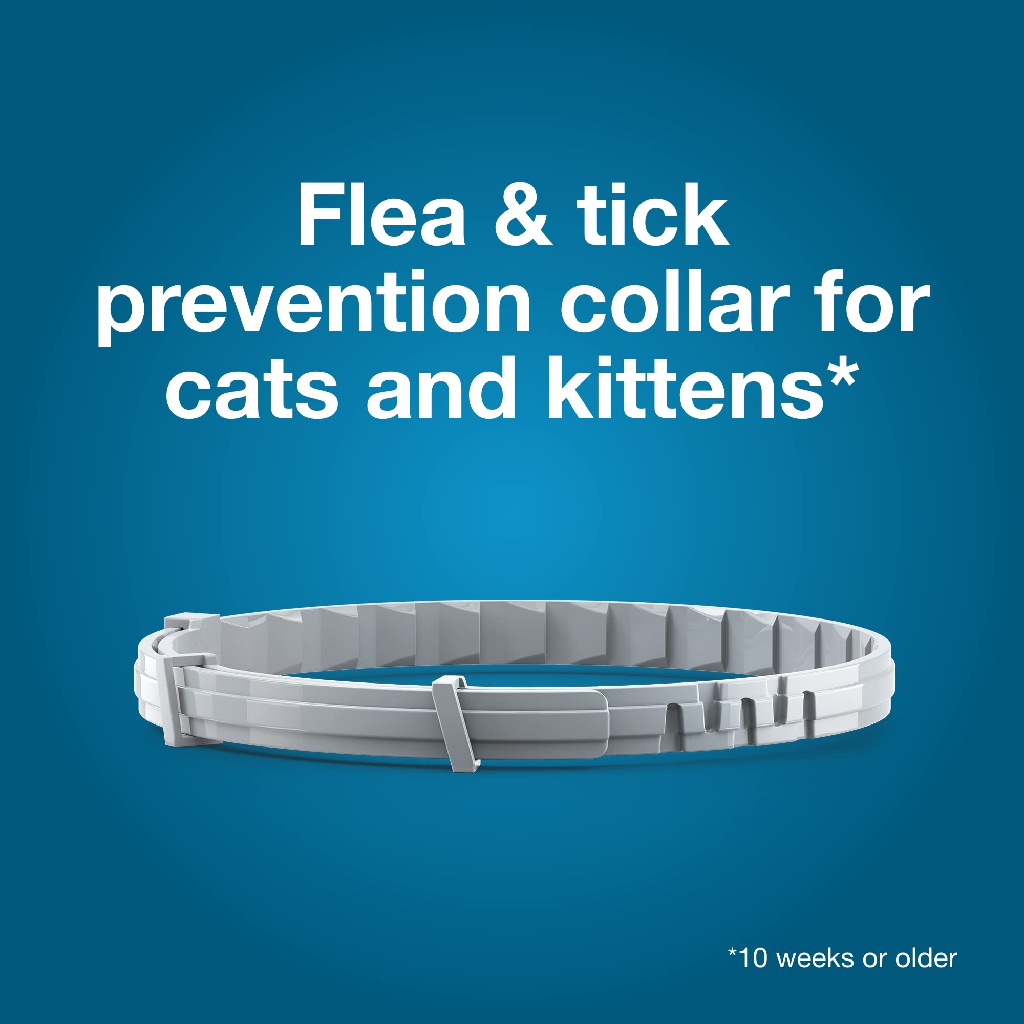 Seresto Cat collar prevents tick infestations within 48 hours.
