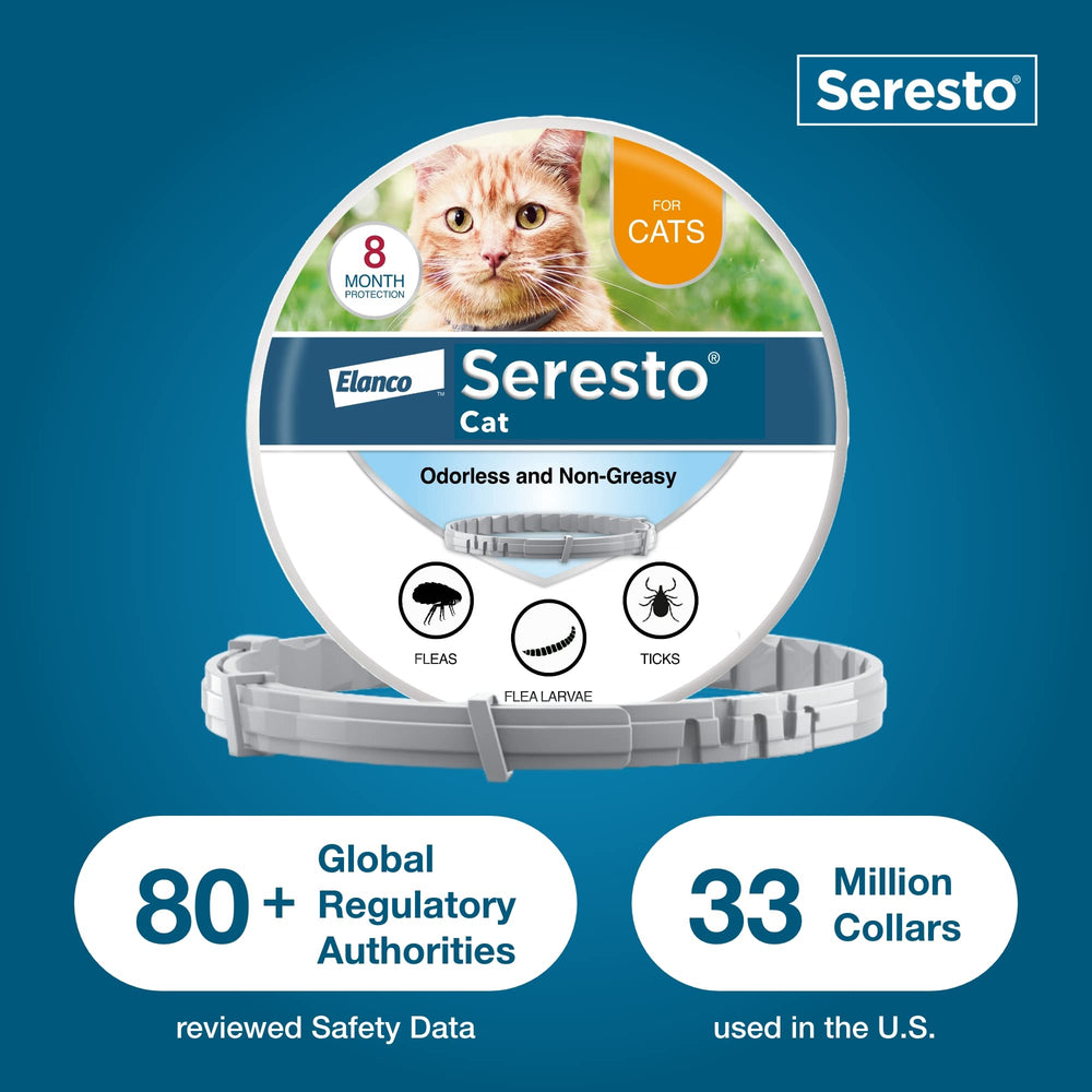 Seresto Cat collar remains effective after rain or bathing.