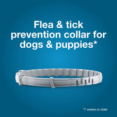 Dog walking in park with Seresto for ongoing flea and tick protection.