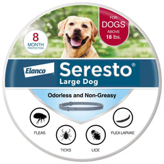 Seresto large dog collar on the neck with secure fit and long-lasting protection.