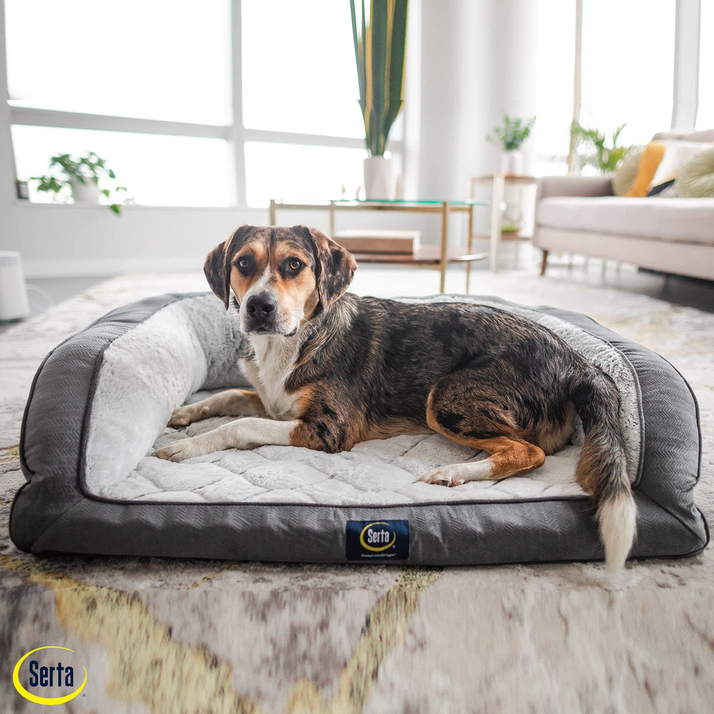 Removable zippered cover shown for easy cleaning after spills