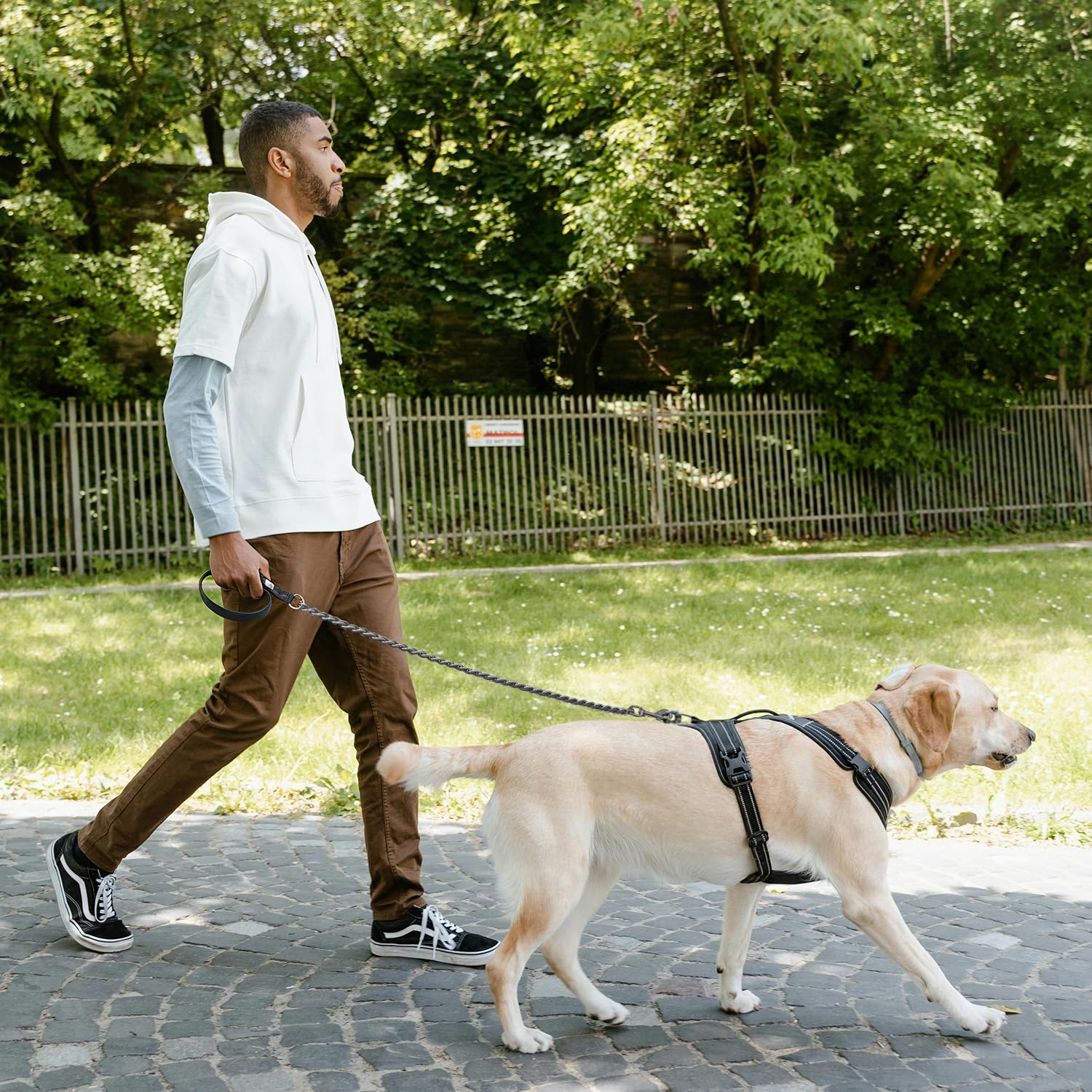 S-ETOVUS chew-proof design helps manage curious chewers safely.