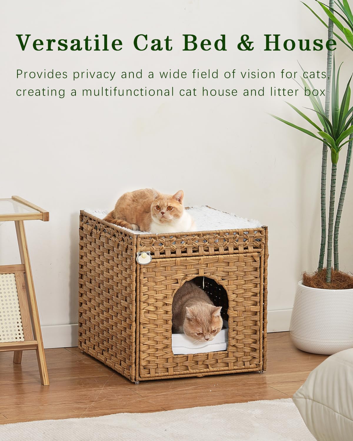 SETVSON easy-assembly cat bed with included tools for quick setup