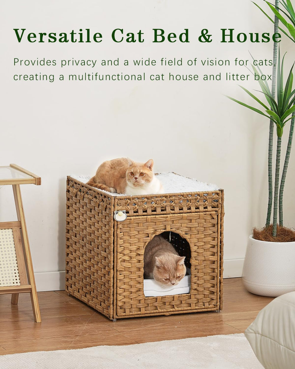 SETVSON easy-assembly cat bed with included tools for quick setup