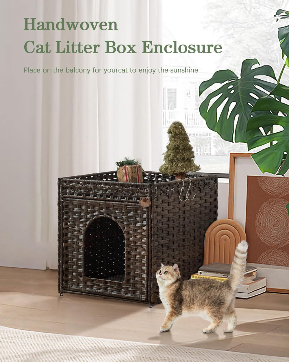 SETVSON interior view demonstrates roomy enclosure for most litter boxes