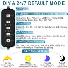 SevenCONST 24/7 cycle mode for stable tank ambiance