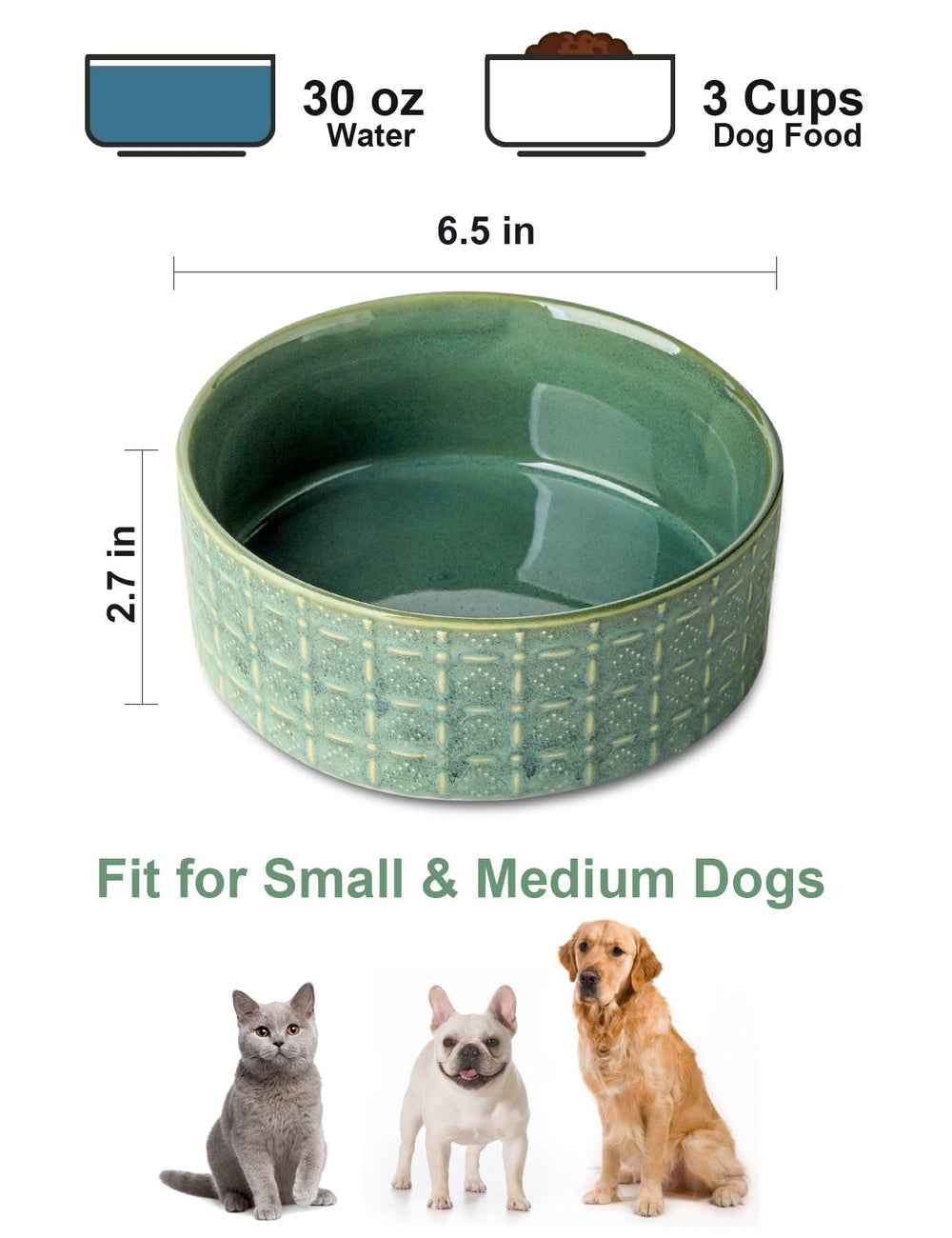 Seyatoo versatile bowl for dogs, puppies, cats, and more.